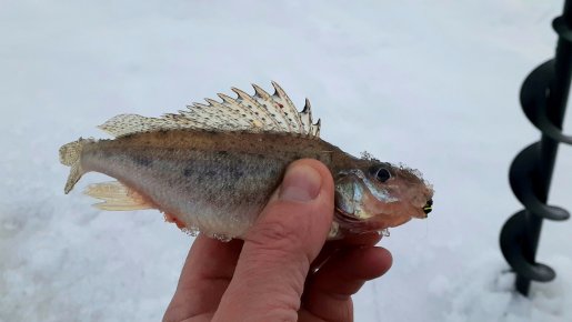 Между Тройкой и ТВ. Рыбаки в тумане.