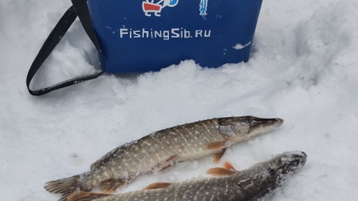 "А так хорошо начиналось!"