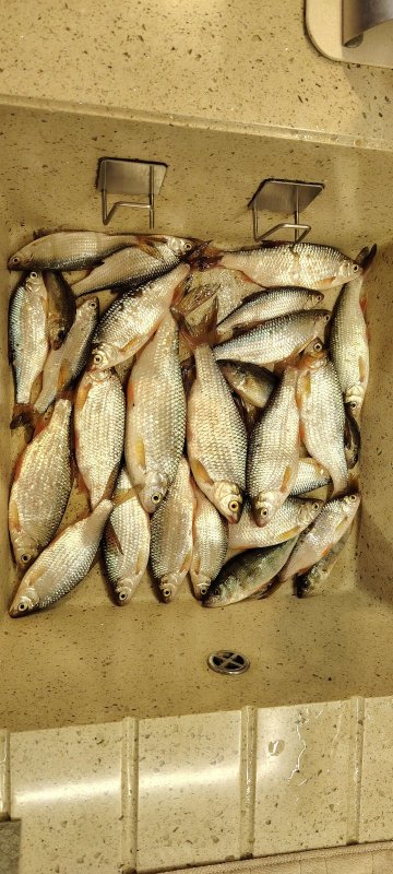 Бурмистрово