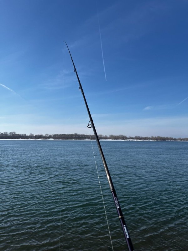 Сезон открыл