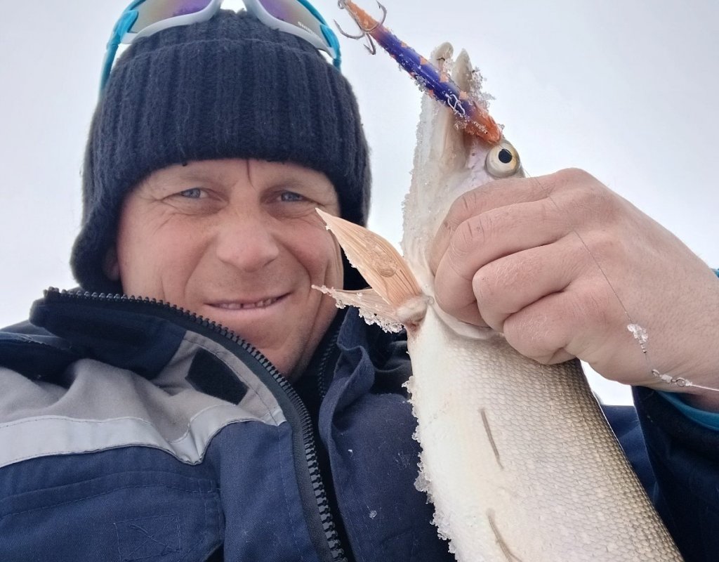 Щука стоит, но кушать выходит