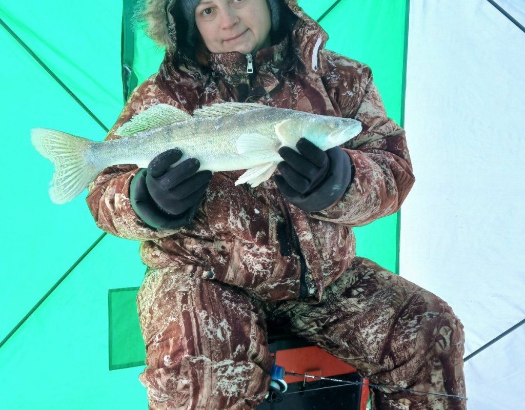 Протока Паншиха 28.02.26