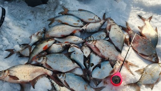 Мартовский Затон.