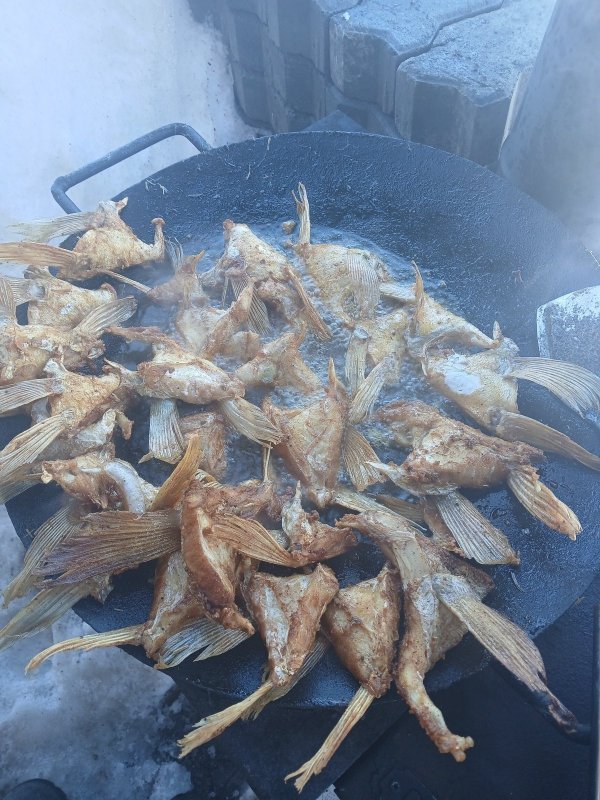 "Ушки судака" готовы