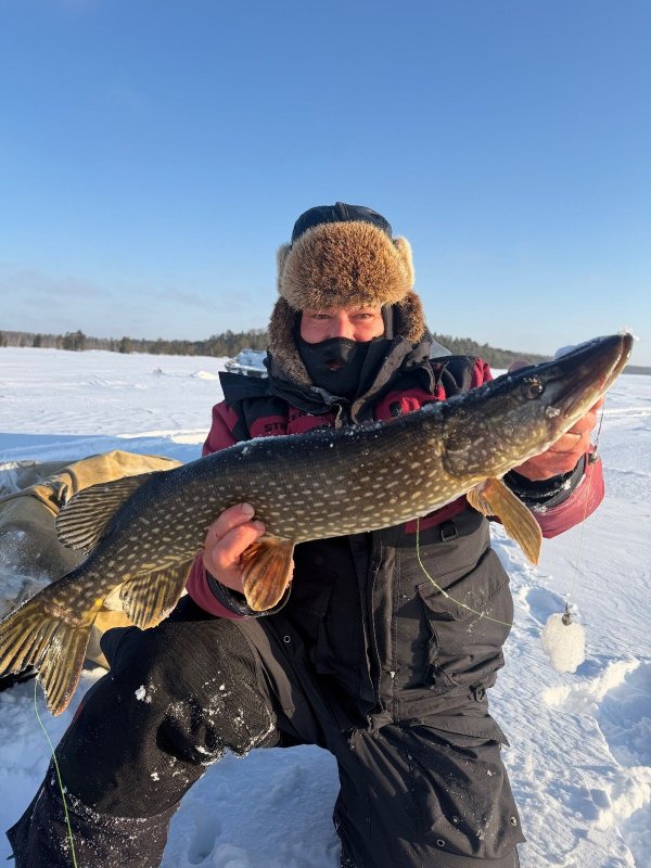 Таежная красотка