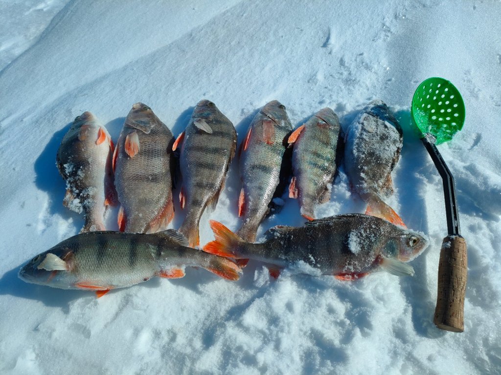 Таня-Ваня 15.03.2026