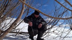 В кустах загибает кивок.