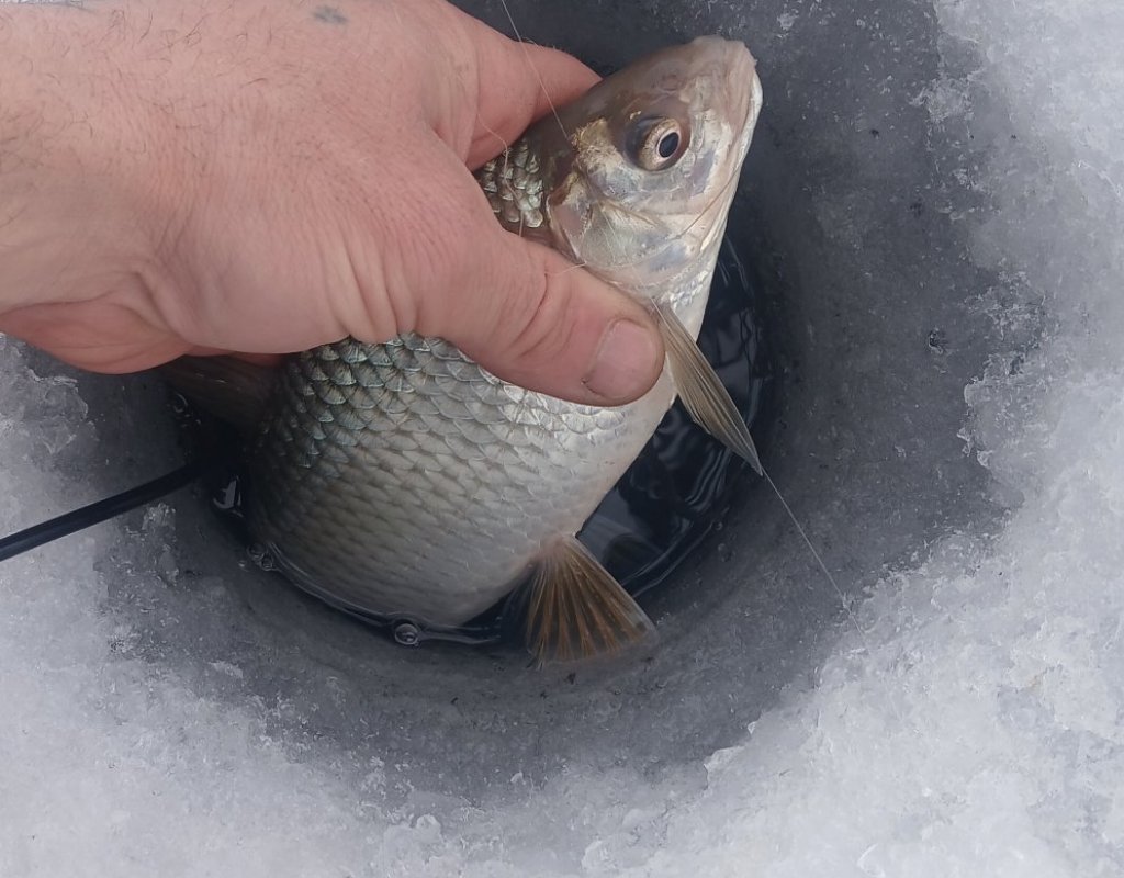 Камень на Оби