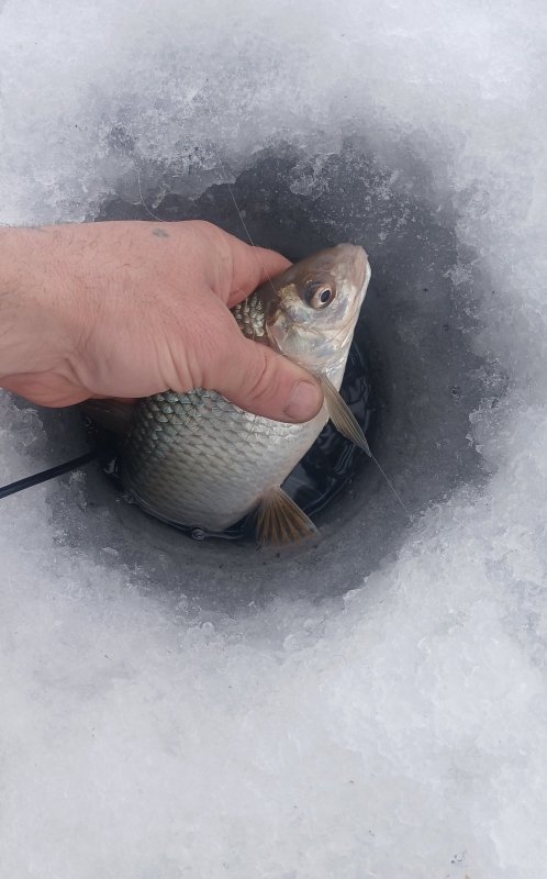 Камень на Оби