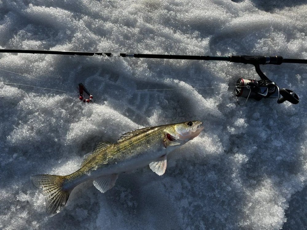 Первый пошел