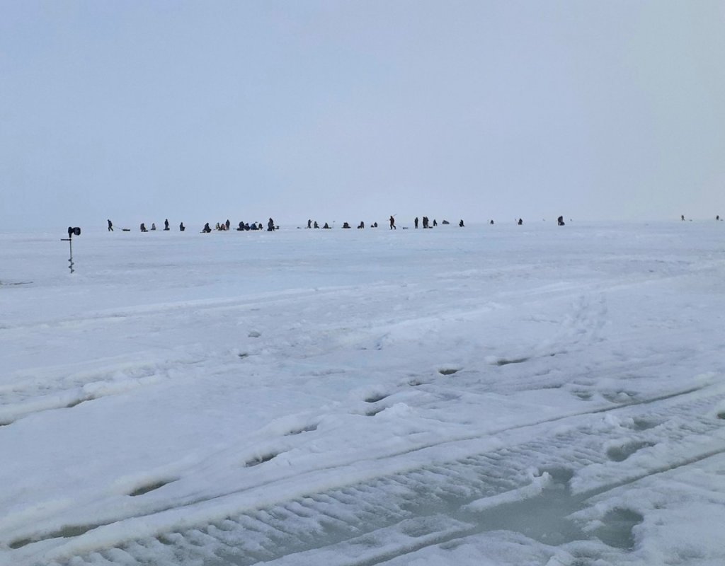 "сидят на Окуне"..., но не берёт!