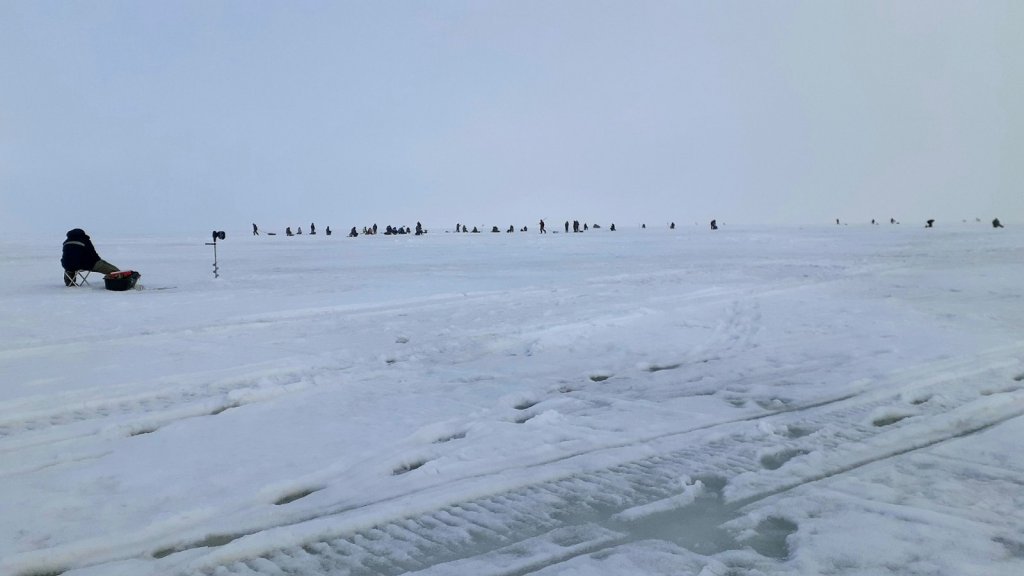 "сидят на Окуне"..., но не берёт!