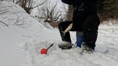 Старый омут. В поисках ельца