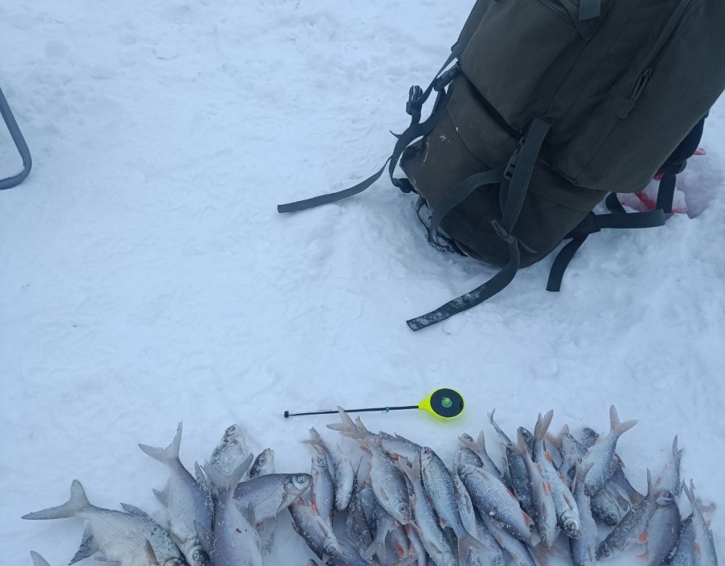 Котлован Левая Обь вечерний хапок.