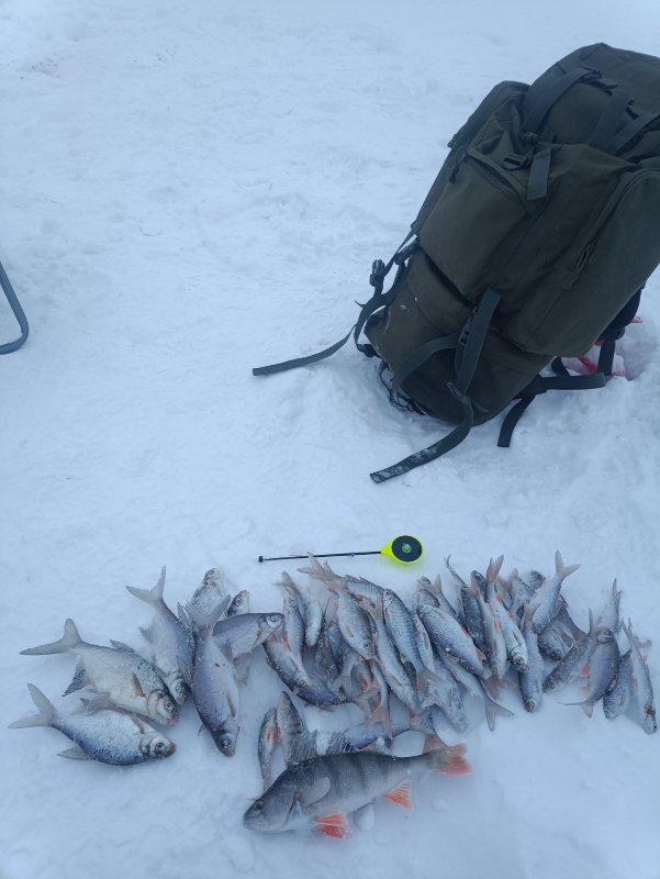 Котлован Левая Обь вечерний хапок.