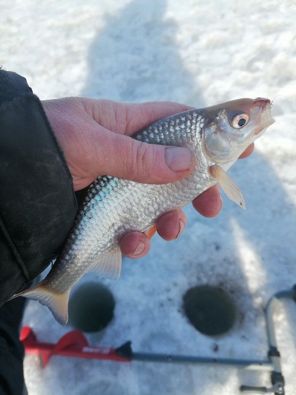 Затон. И такая была.