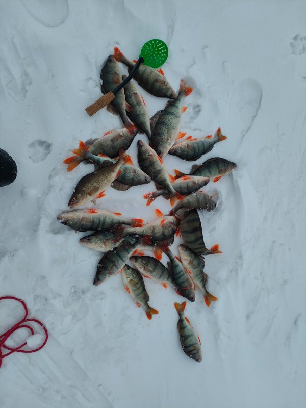 Таня Ваня 22.03.2026