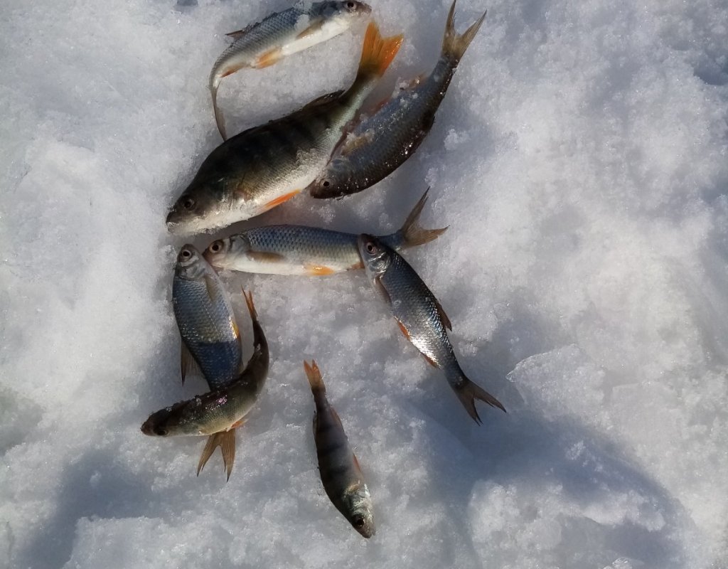 Активна только мелоч