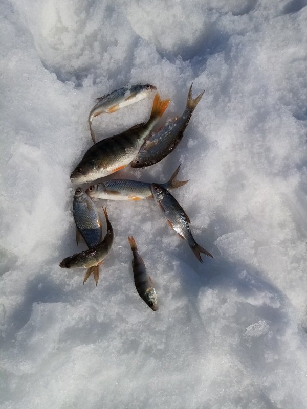 Активна только мелоч