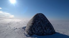 Опустил чёртика в лунку, сразу клюёт. Обское водохранилище 2026.