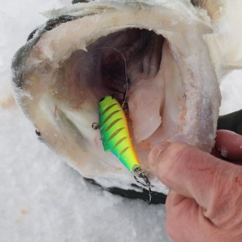 Ням. 100ый басдей, не кажется крупной приманкой