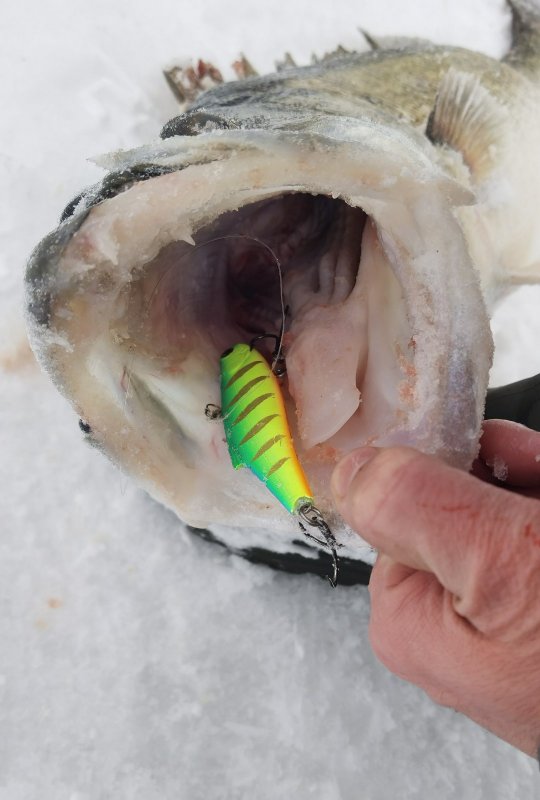 Ням. 100ый басдей, не кажется крупной приманкой