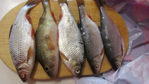 вчера на Глухом