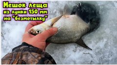 Мешок леща на "безмотылку" из лунки 150 мм. Весенний мокрый лёд Рузского водохранилища!