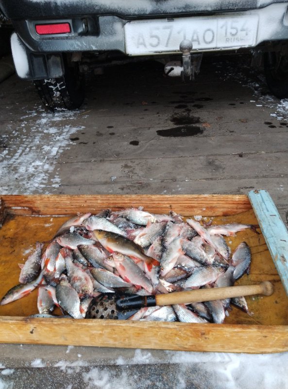 Приехал с рыбалки.