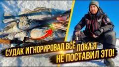 Судак игнорировал всё, пока я не поставил это! Рыбалка на жигулевском море