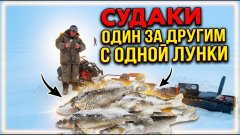 Судаки один за другим с одной лунки! Метель, баня и бешеный клёв судака в Актуши