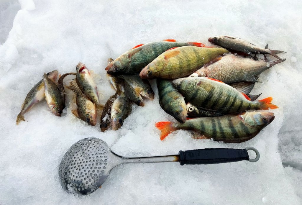 Окрестности пляжя Звезда.