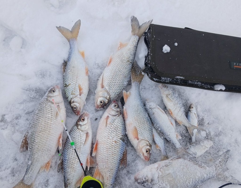 Камень на Оби