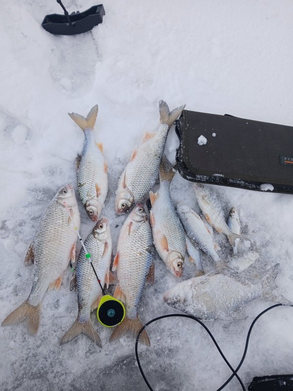 Камень на Оби