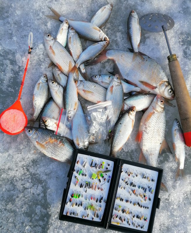 Ну что рыбе еще надо, чтобы  она клюнула.