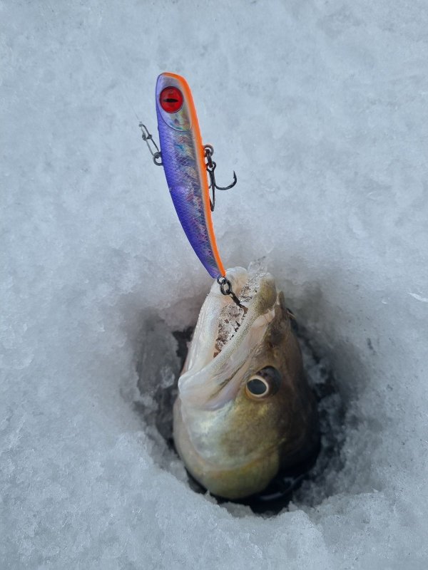 Ракурс подсмотренный у Дмитрия