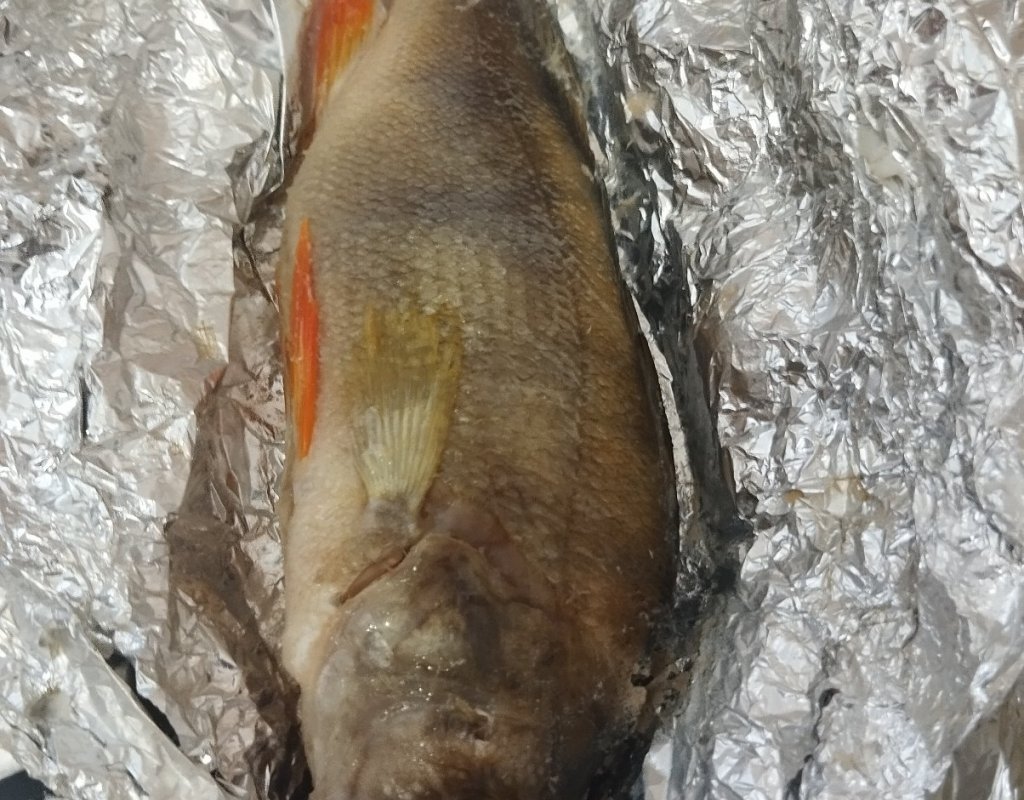 Окунь в фольге с лимоном!..