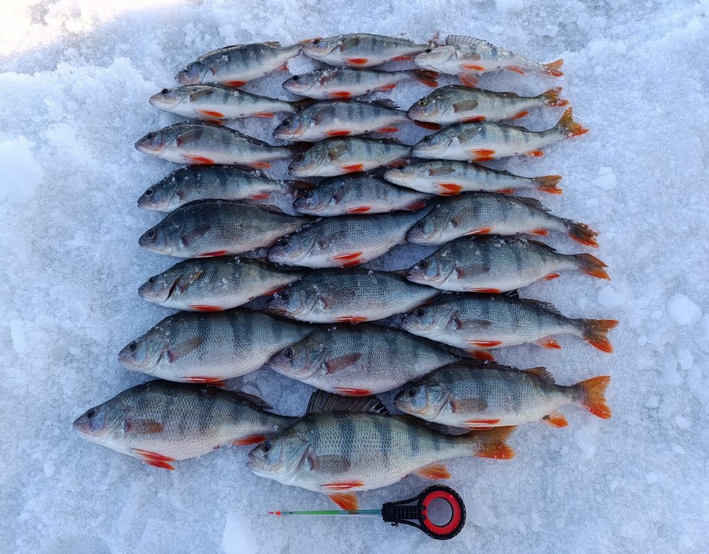 Низовья ОВХ.