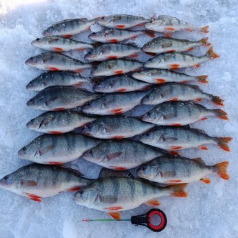 Низовья ОВХ.