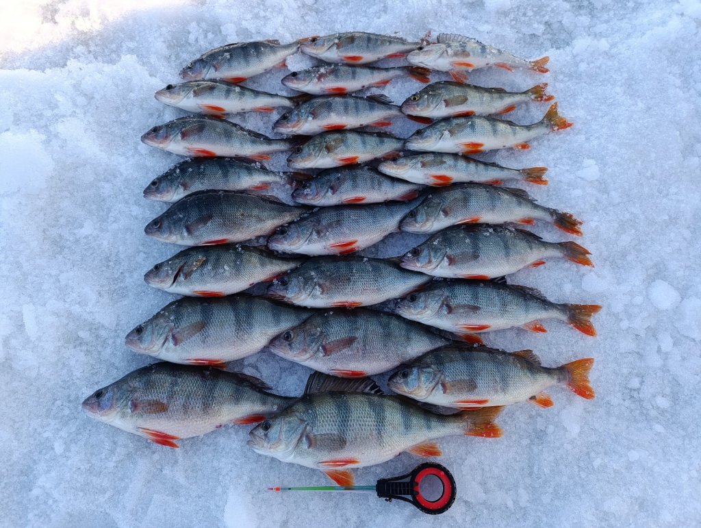 Низовья ОВХ.