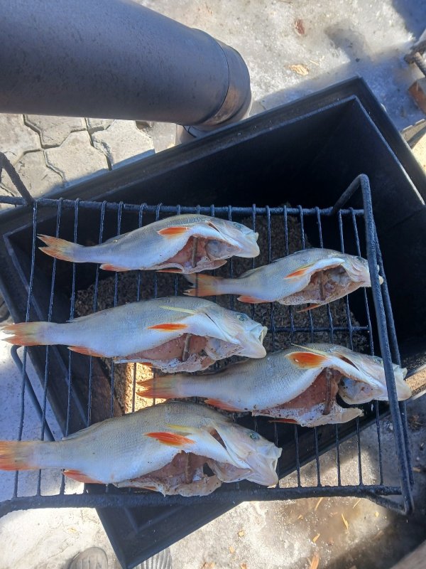 "Под холодное"