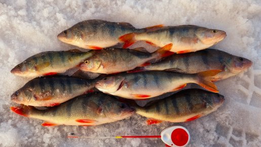 ОВХ, мормышка, снизу по правому берегу.