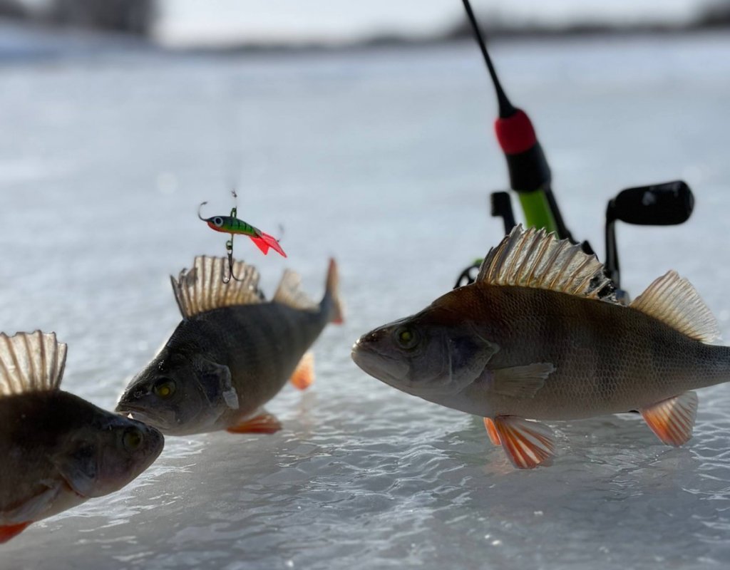 Разбойники