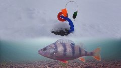 Поставил Жерлицы с СИГНАЛИЗАТОРОМ и вот что получилось...Подводная съемка