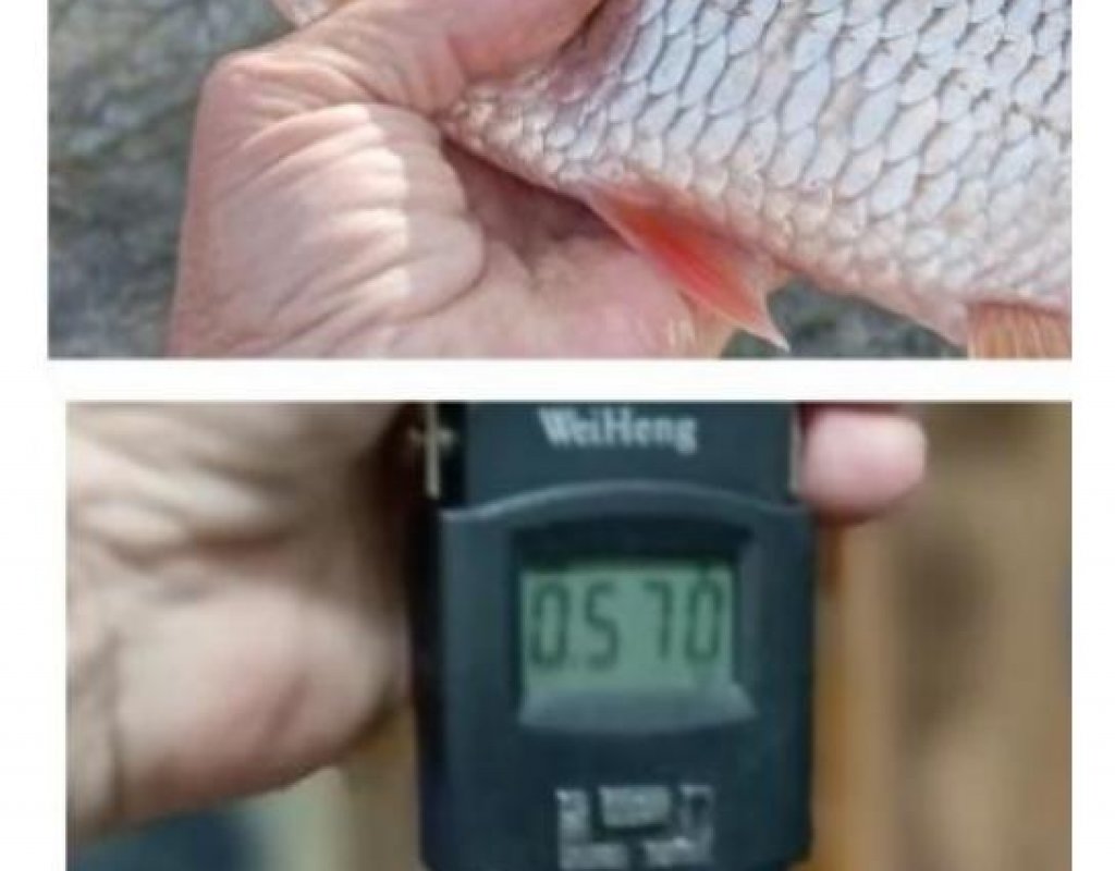 На единственная.