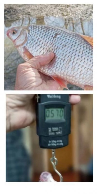 Не единственная.