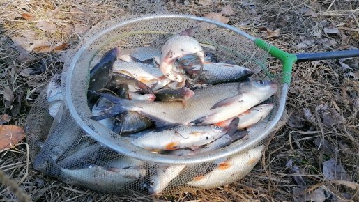 Ж. Б. И. Не клево.