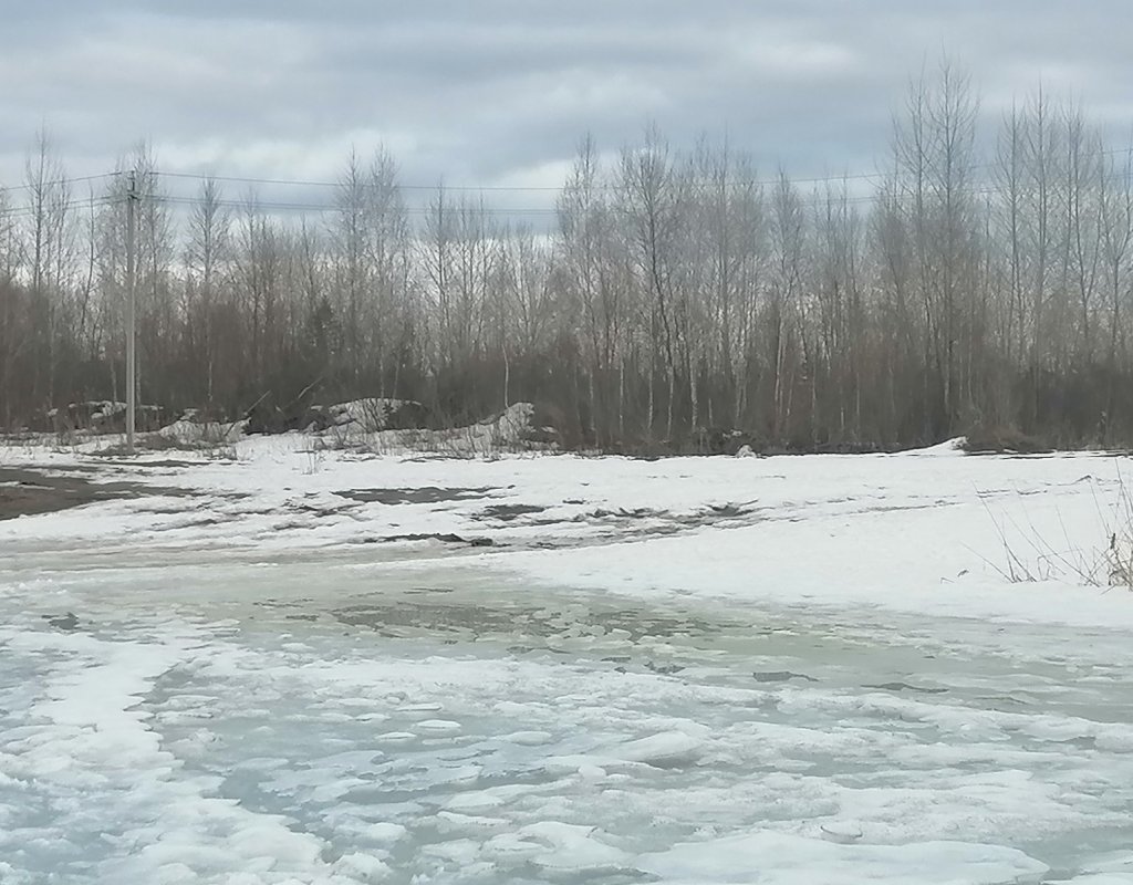 Криводановкий котлован.