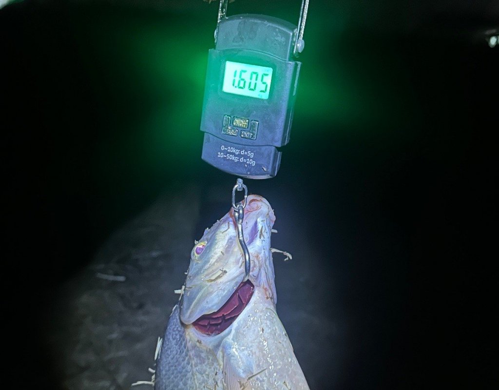 Личный рекорд по лещам.