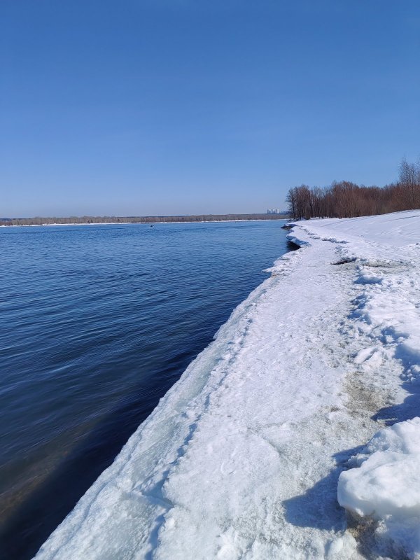 Есть что по рыбам?